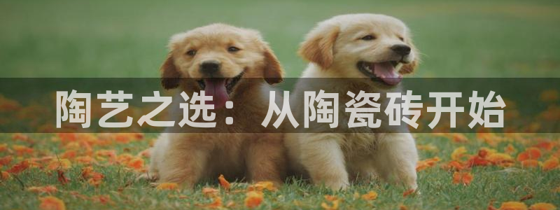 金年会最新登录网站