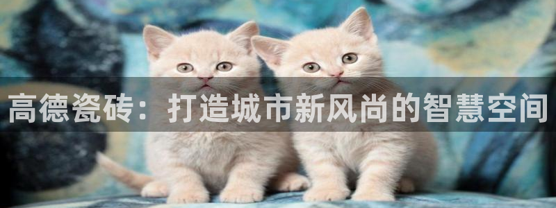 金年会网页版登陆