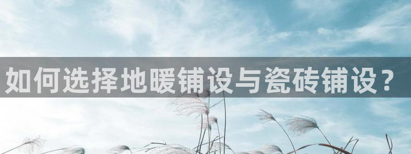 金年会是真的吗