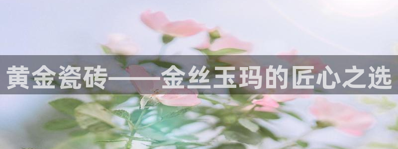 金年会网官网新版