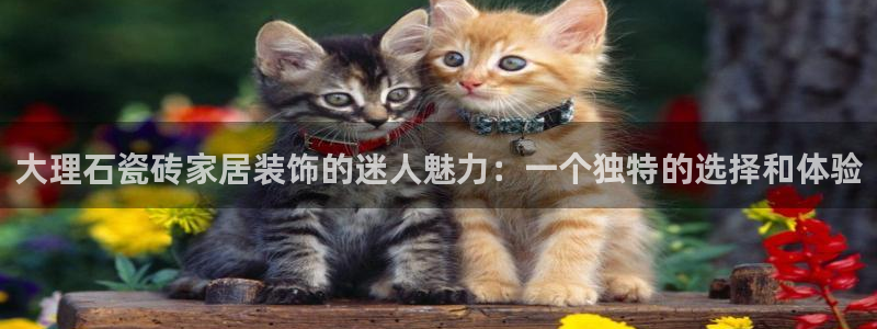 金年会官方在线登录