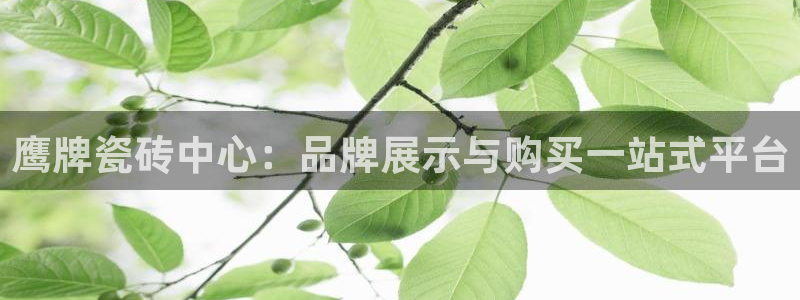 金年会金字招牌信誉