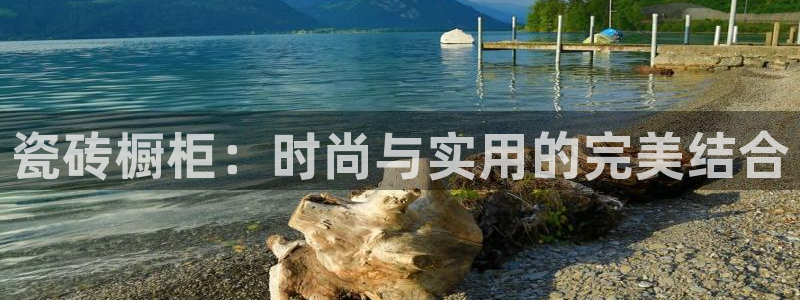 金辉城年会视频