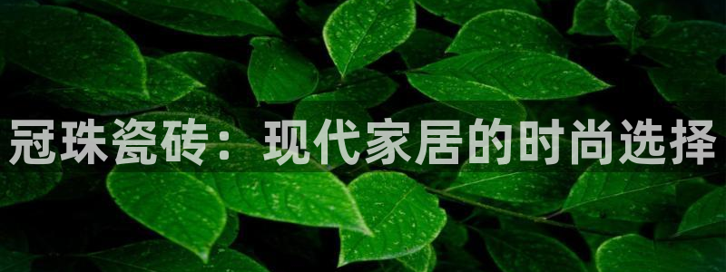 金年会体育官方