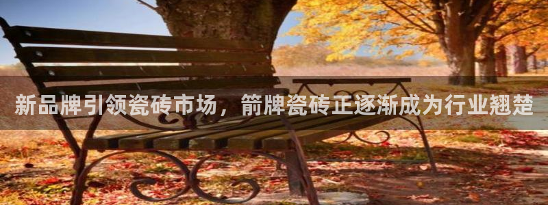 金年会体育官方网站入口