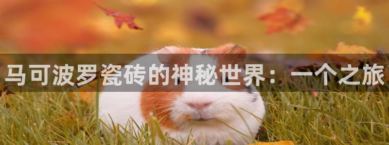 金年会体育app下载