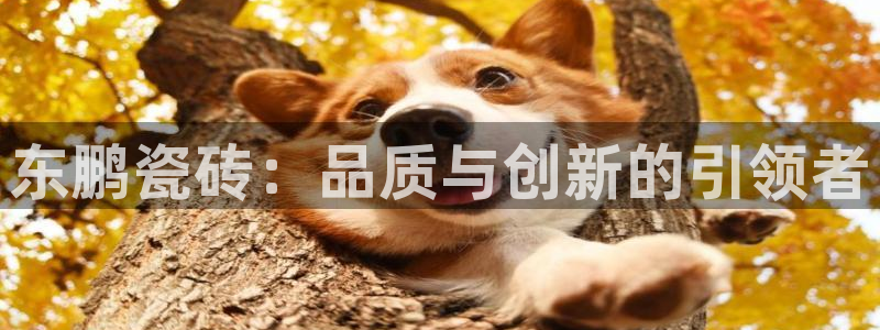 金年会 信誉至上