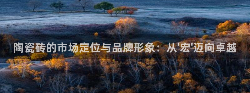 金年会体育下载app