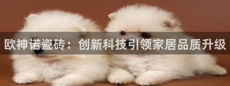 金年会金字招牌诚信至上