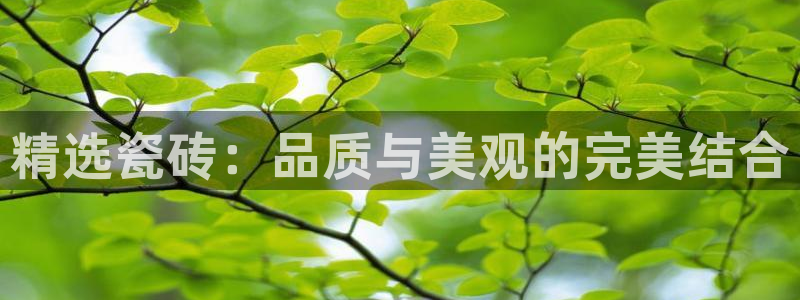 金年会官网app下载