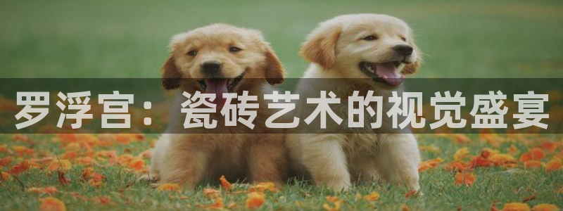 金年会 信誉至上