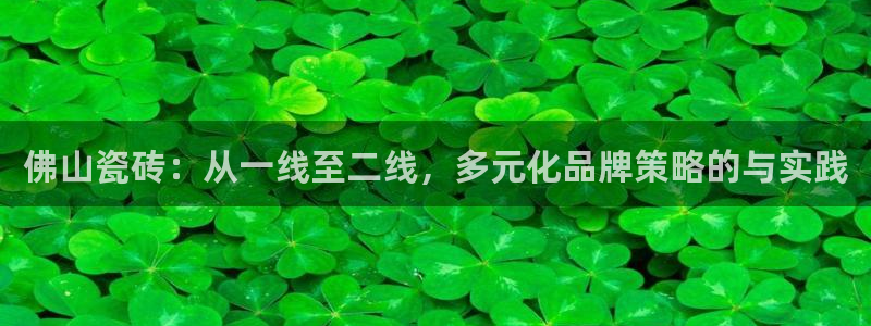 金年会平台是真的吗