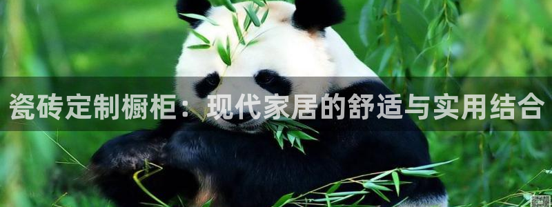 金年会官方网站入口