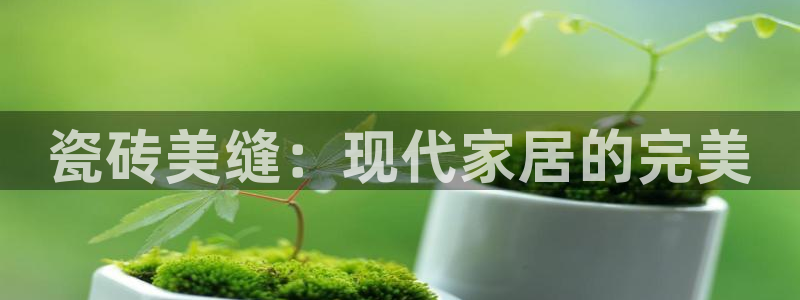 金年会金字招牌