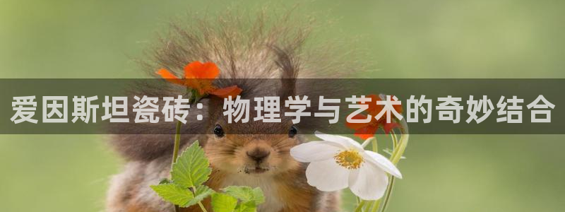 金年会官方网址登录路线