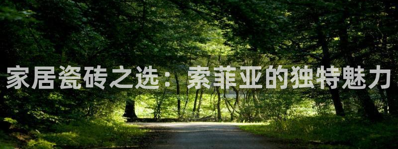金年会网页登录