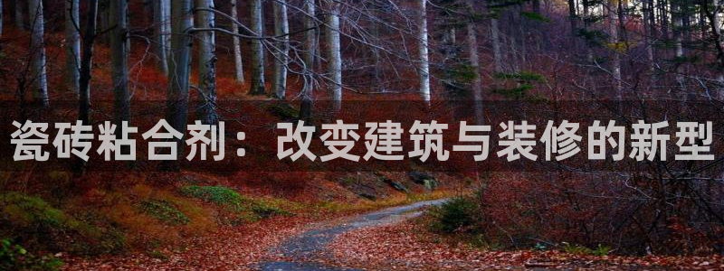 金年会.cc