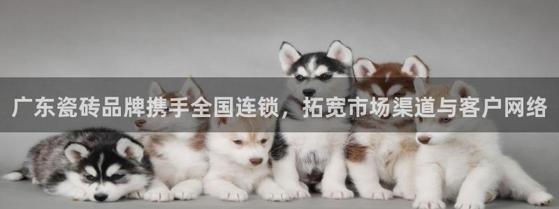 金年会现金网
