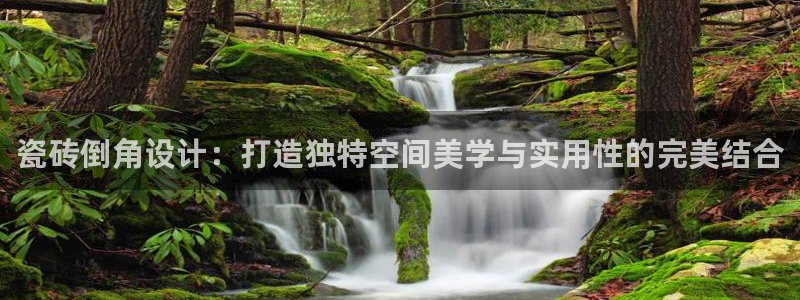 陆金所 年会