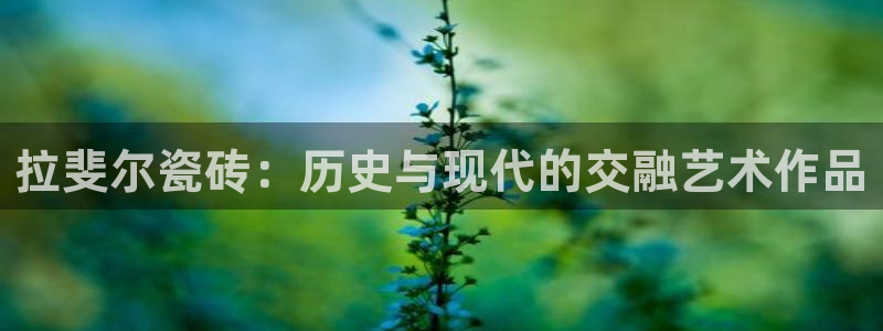 金年会娱乐app