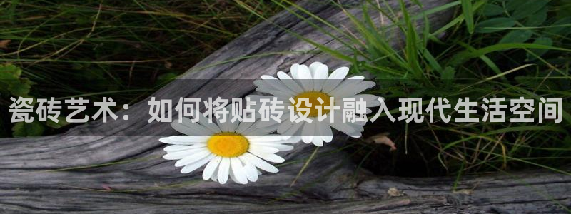 金年会平台出款