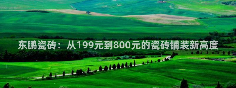 金年会体育官方网站