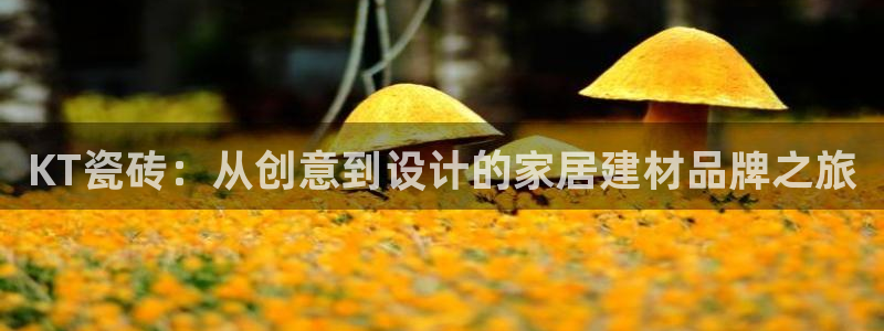 金年会官方网