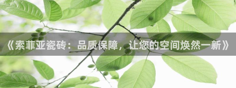金年会官方网