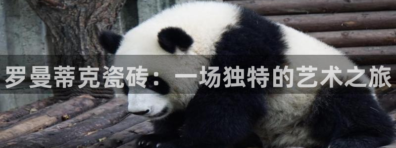 金年会体育app