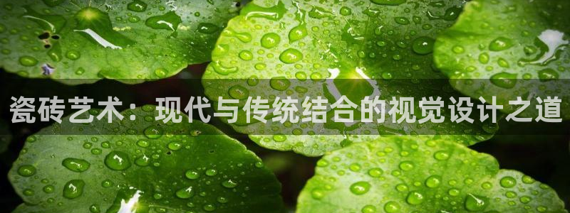 年会金句心得