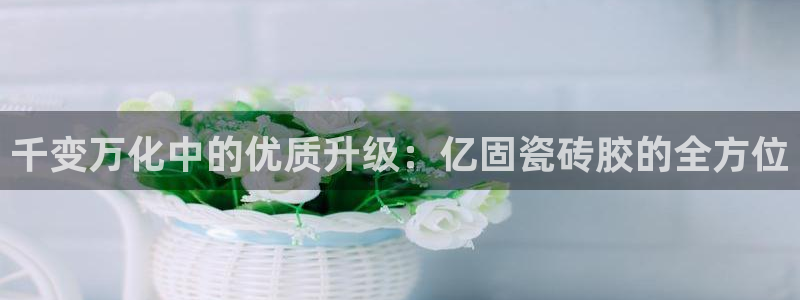 金年会黑网