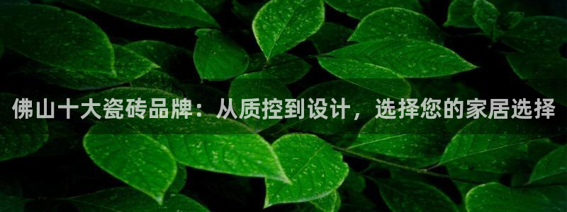 金年会全站app