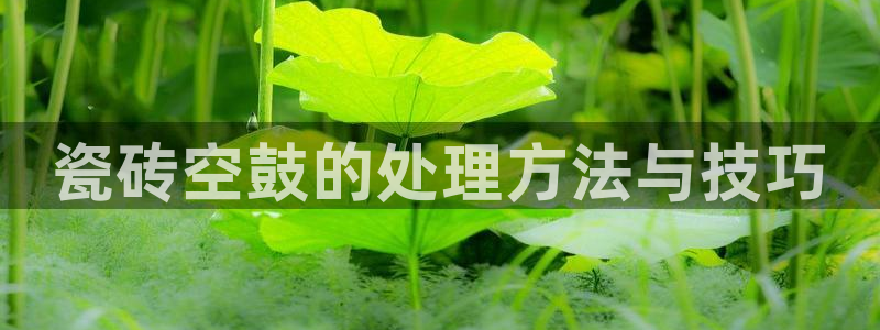 金年会吧