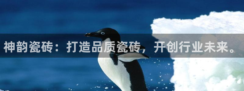 金年会在线入口