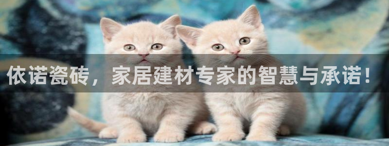 金年会现金网