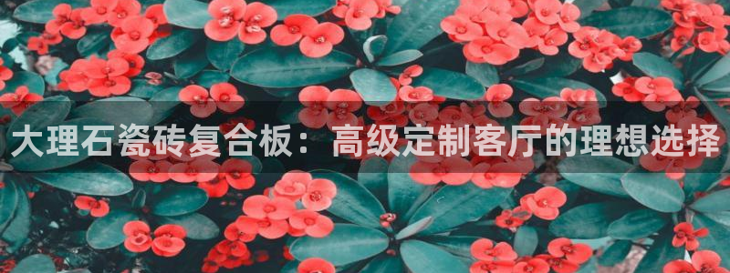 金吉年会