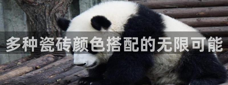 今年会送彩金28