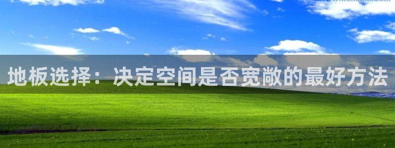 金金年会