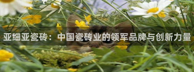 金年会是啥