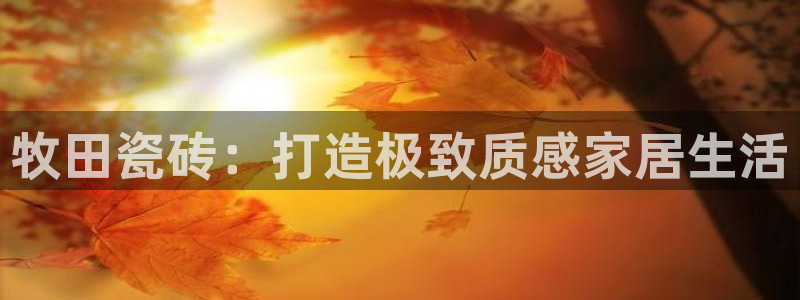 金年会金字招牌信誉至上