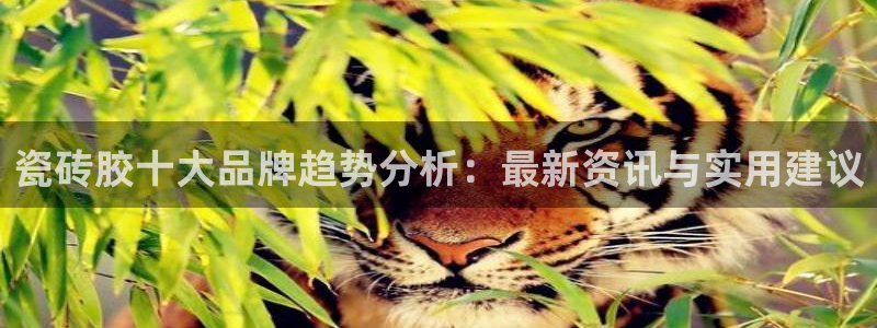 金年会金字招牌