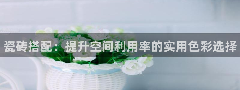 2022金年会