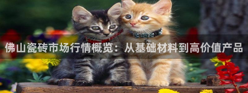 金年会全站app