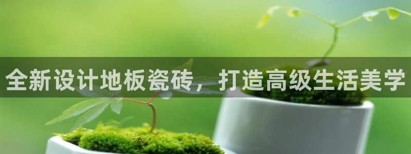 金年会全站