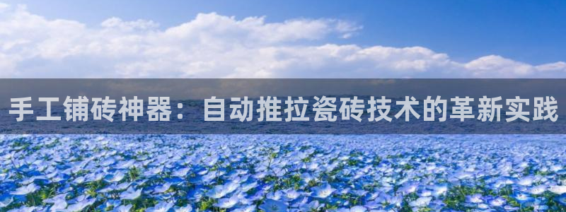 金辉城年会视频