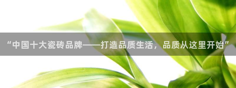 今年会金年会