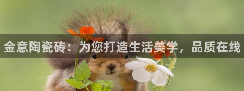 金年会体育娱乐