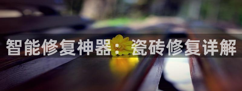 金年会官网地址