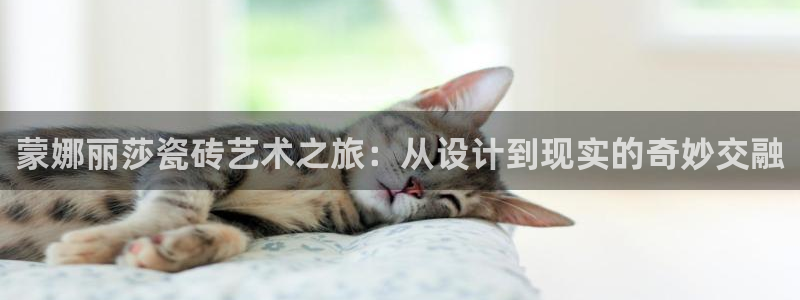 金年会体育金年会官网