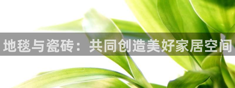金年会体育app下载